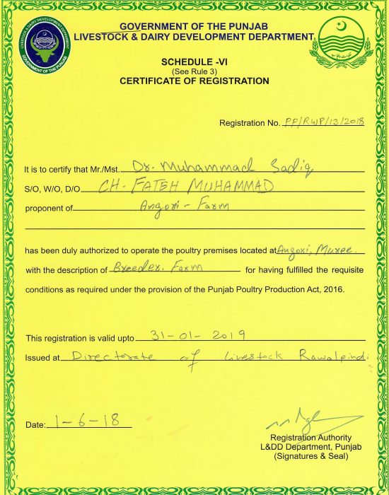 Certificate Angori Murree (LDD)