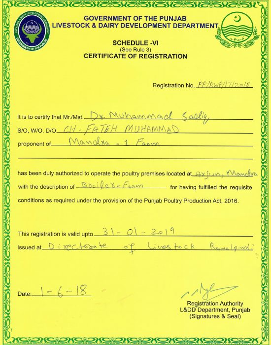 Certificate Mandra-1 (LDD)